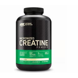 Creatine Powder Micronizada (600g) - Optimum Nutrition