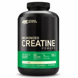 Creatine Powder Micronizada (600g) - Optimum Nutrition