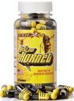 Yellow Hornet (100 Cápsulas) - Stacker Yellow Hornet (100 Cápsulas) - Stacker